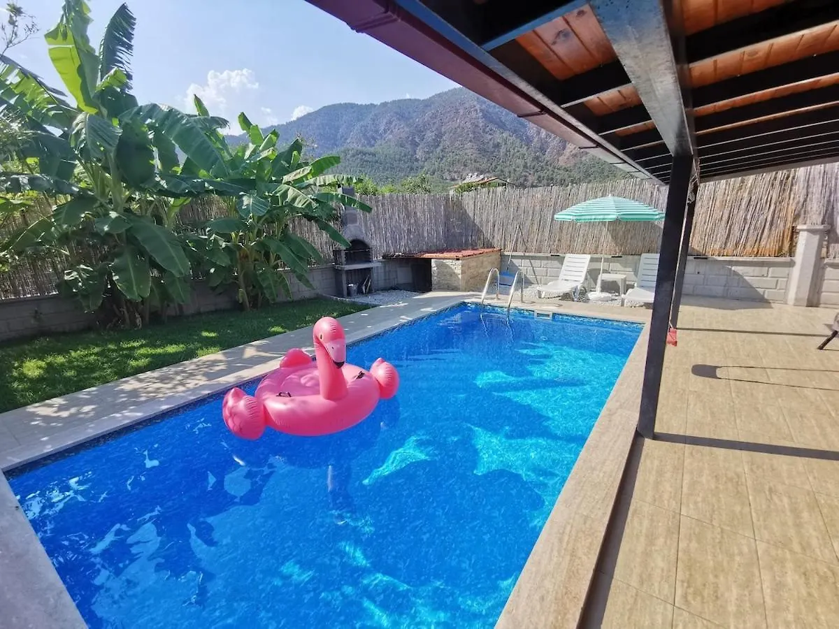 Villa Elif Koeycegiz Turkey